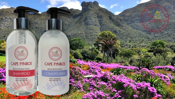 cape fynbos description category tourism image