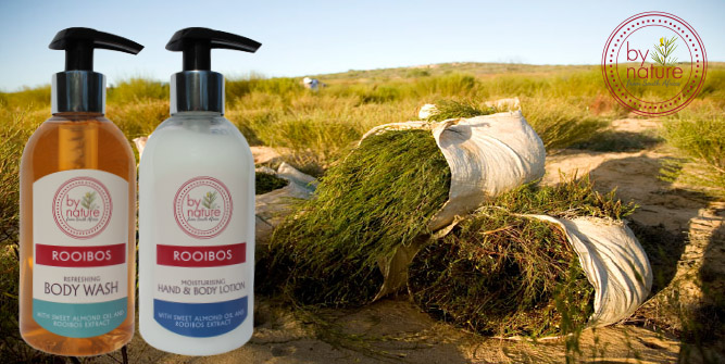 rooibos description category tourism